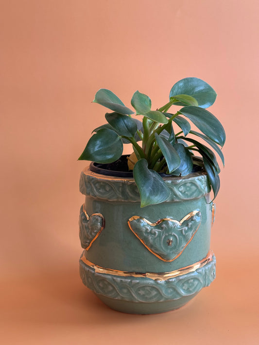 Kasra Planter Pot