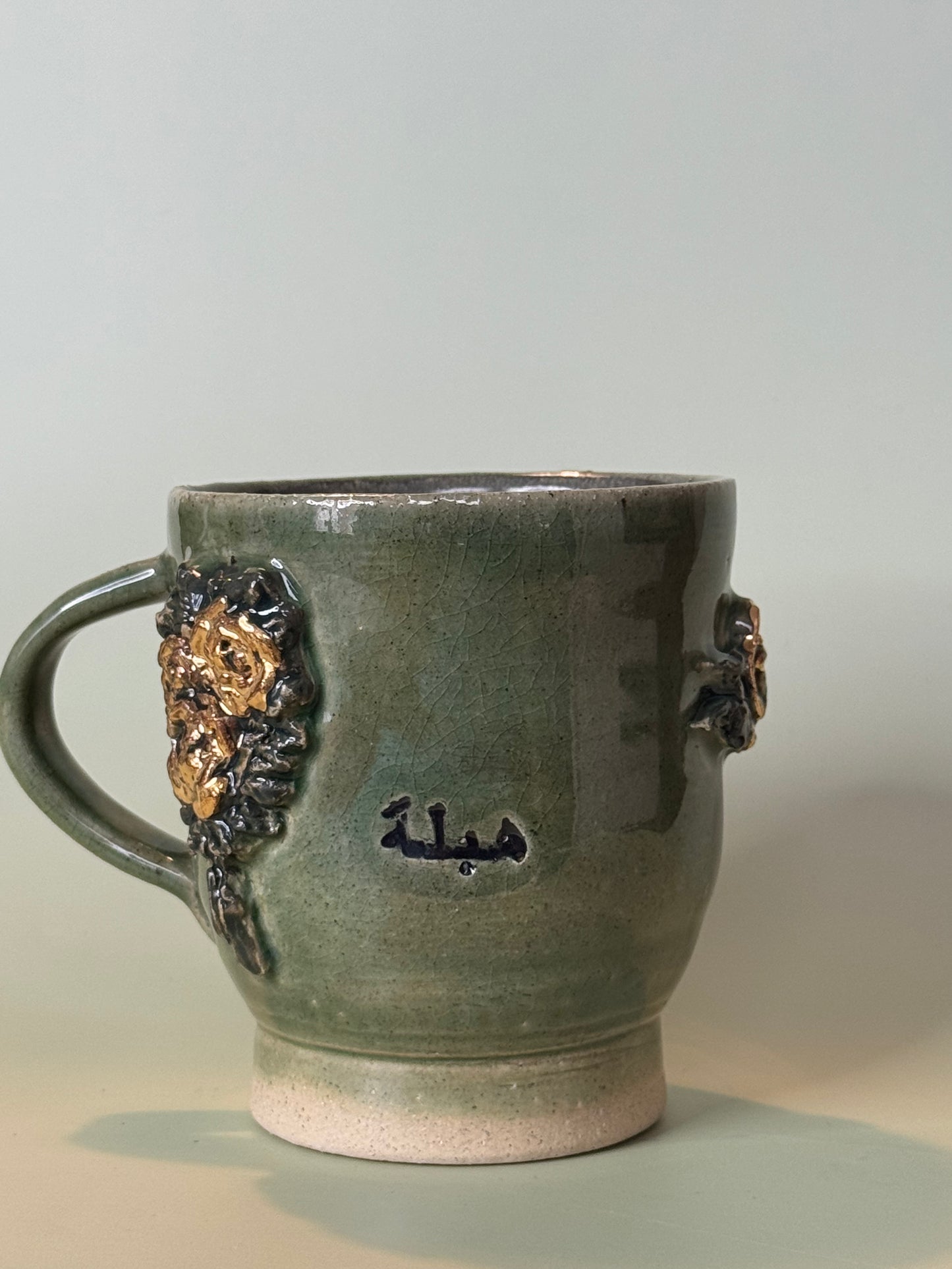 Habla Mug - v2